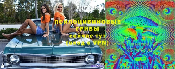 прущая мука Богородск