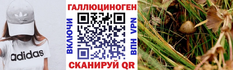 Псилоцибиновые грибы мицелий Благодарный