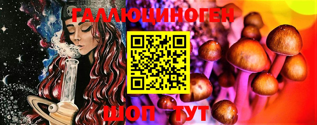 Псилоцибиновые грибы Psilocybine cubensis  Вход с VPN  Благодарный 